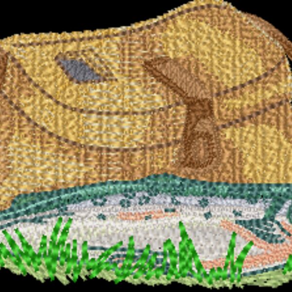 RC665 Thumbnail