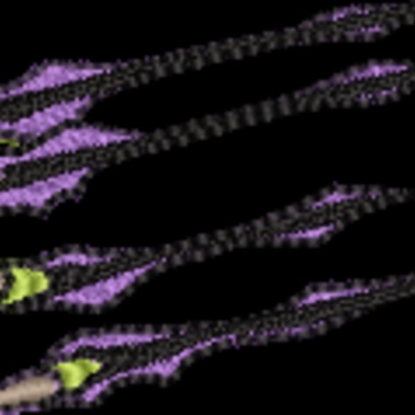 ms649 Thumbnail