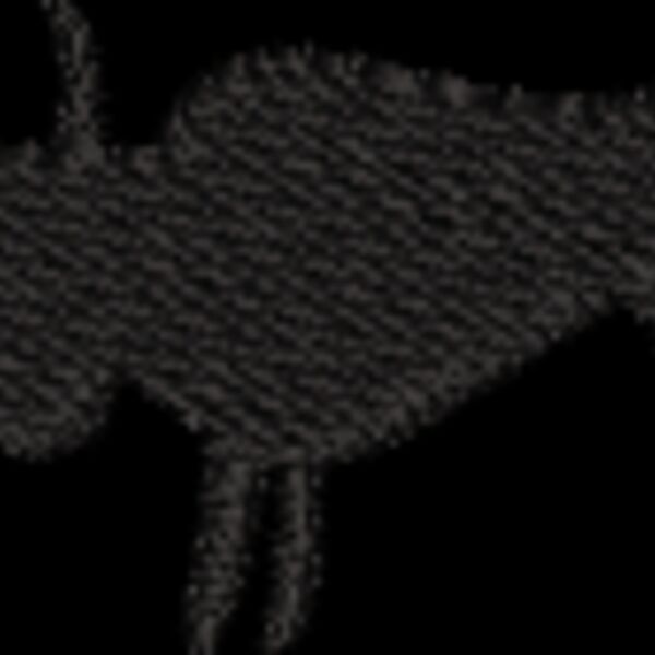 NZ768 Thumbnail