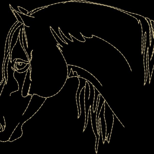 WS611 48 Thumbnail