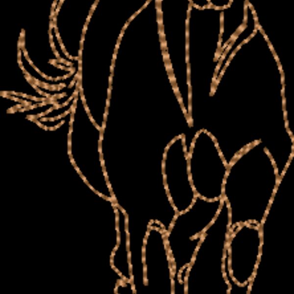 WS597 48 Thumbnail
