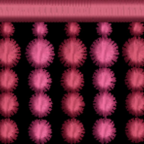 NA656 Thumbnail