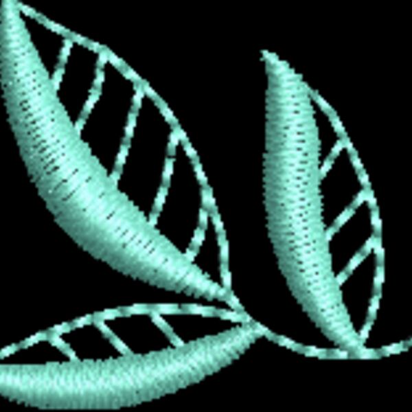 NZ812 Thumbnail