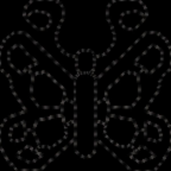 Nx456 Thumbnail