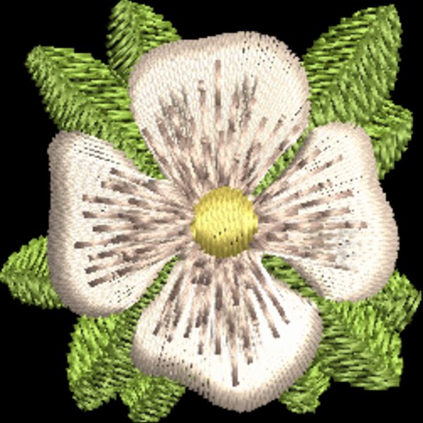 FP620 Thumbnail