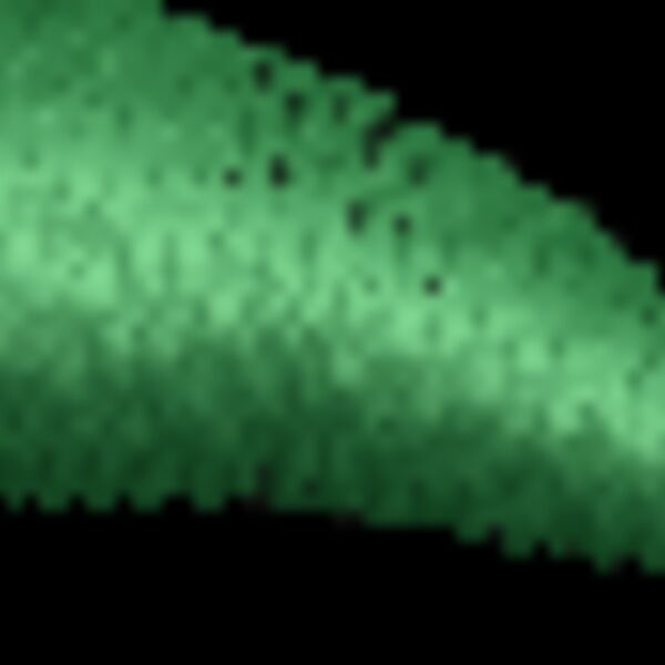 FP419 Thumbnail