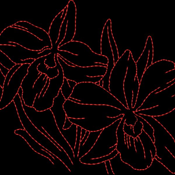 FP172 Thumbnail