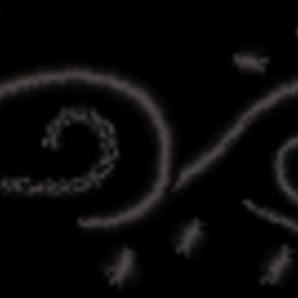 NZ755 Thumbnail