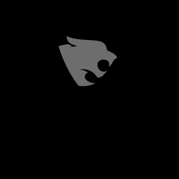 Panthers Track & Field team 02 Thumbnail