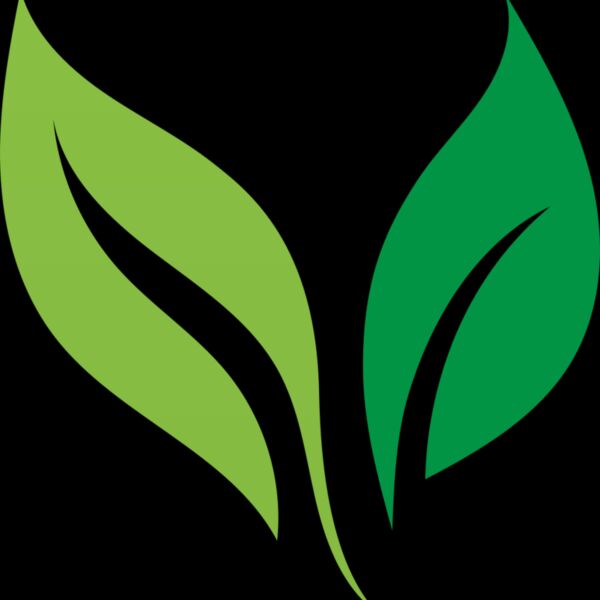 Leaves Thumbnail