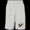 Men's Pro Mesh 9" Shorts with Pockets Thumbnail