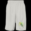 Men's Pro Mesh 9" Shorts with Pockets Thumbnail