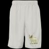 Men's Pro Mesh 9" Shorts with Pockets Thumbnail