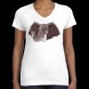 Women's Fine Jersey V-Neck Tee Thumbnail