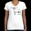 Women's Fine Jersey V-Neck Tee Thumbnail