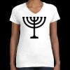 Women's Fine Jersey V-Neck Tee Thumbnail